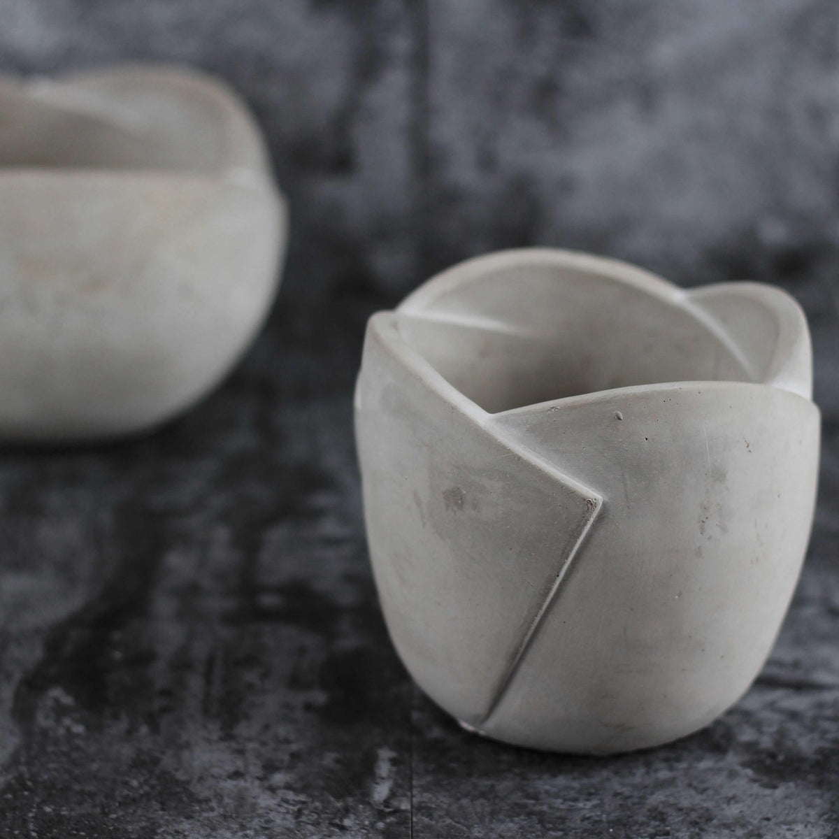 Succulent Flower Pot Shaped Mousse Cake Mold Nordic Flower Bud Flower Pot Cement Plaster Vase Decoration Mold - Pacisia
