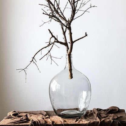 Japanese Bell Horse Drunk Wood Nantian Bamboo Nordic Style Simple Thin Mouth Big Belly Bottle Vase Transparent Indoor Flower Arranging Device - Pacisia