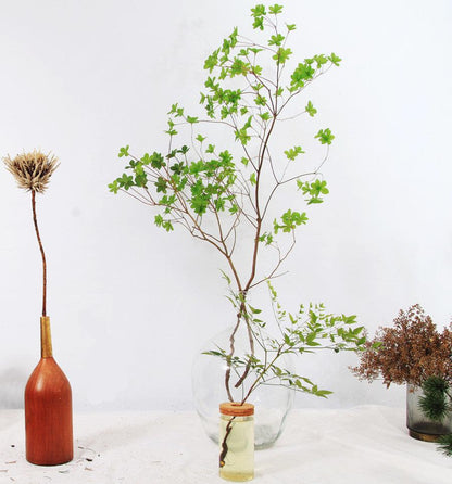 Japanese Bell Horse Drunk Wood Nantian Bamboo Nordic Style Simple Thin Mouth Big Belly Bottle Vase Transparent Indoor Flower Arranging Device - Pacisia