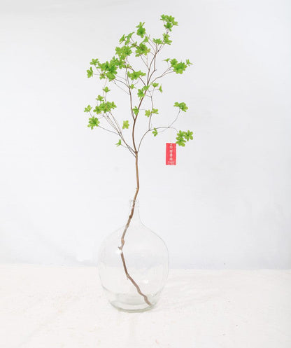 Japanese Bell Horse Drunk Wood Nantian Bamboo Nordic Style Simple Thin Mouth Big Belly Bottle Vase Transparent Indoor Flower Arranging Device - Pacisia