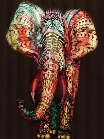 Art Design Shower Curtain - Graffiti Elephant & African Girl Variants - Pacisia
