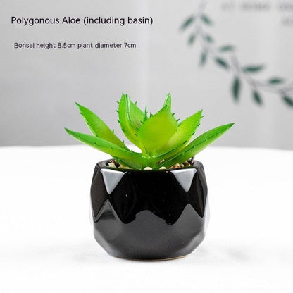Artificial Succulents with Pots - Pacisia