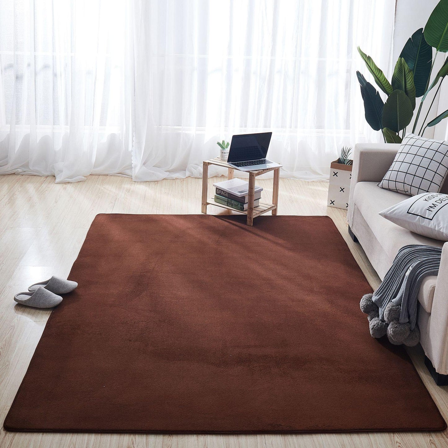 Coral Carpet In Living Room And Bedroom - Pacisia