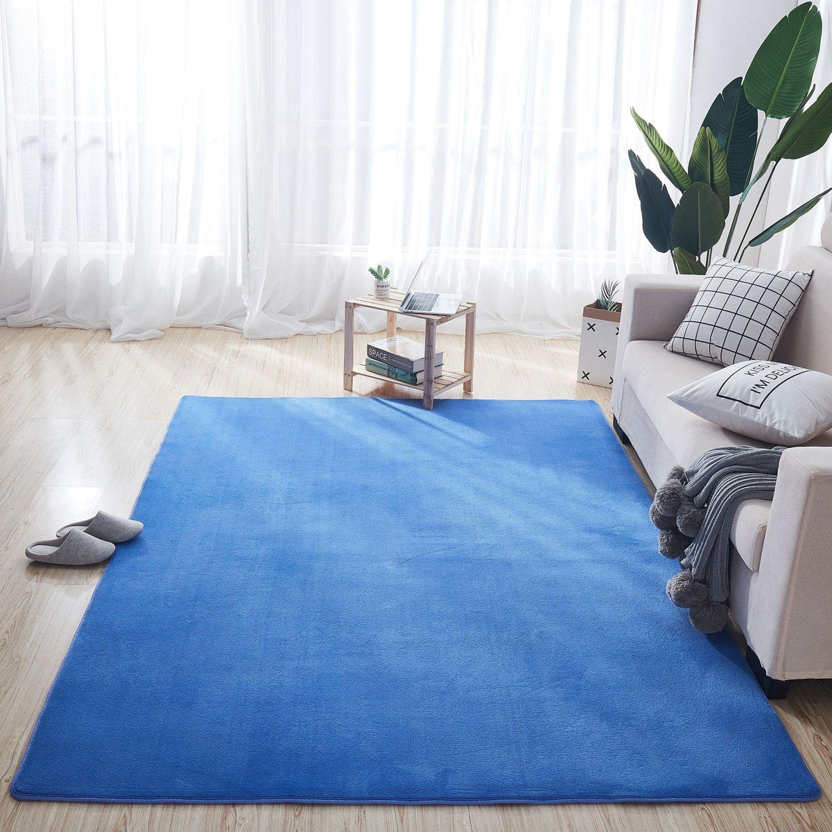 Coral Carpet In Living Room And Bedroom - Pacisia