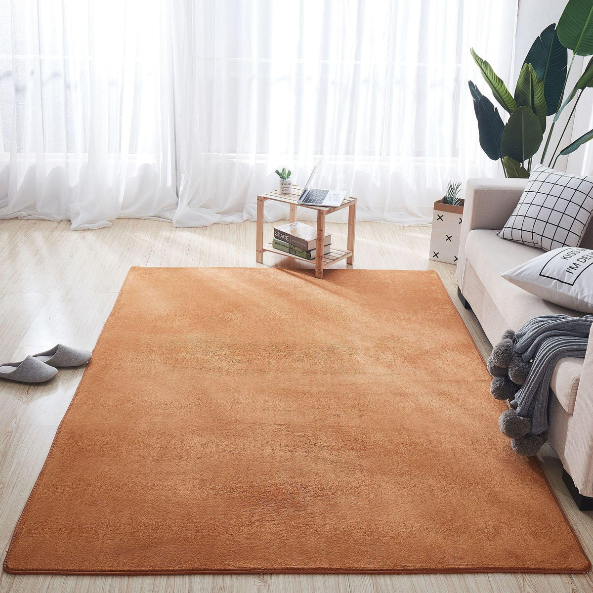 Coral Carpet In Living Room And Bedroom - Pacisia