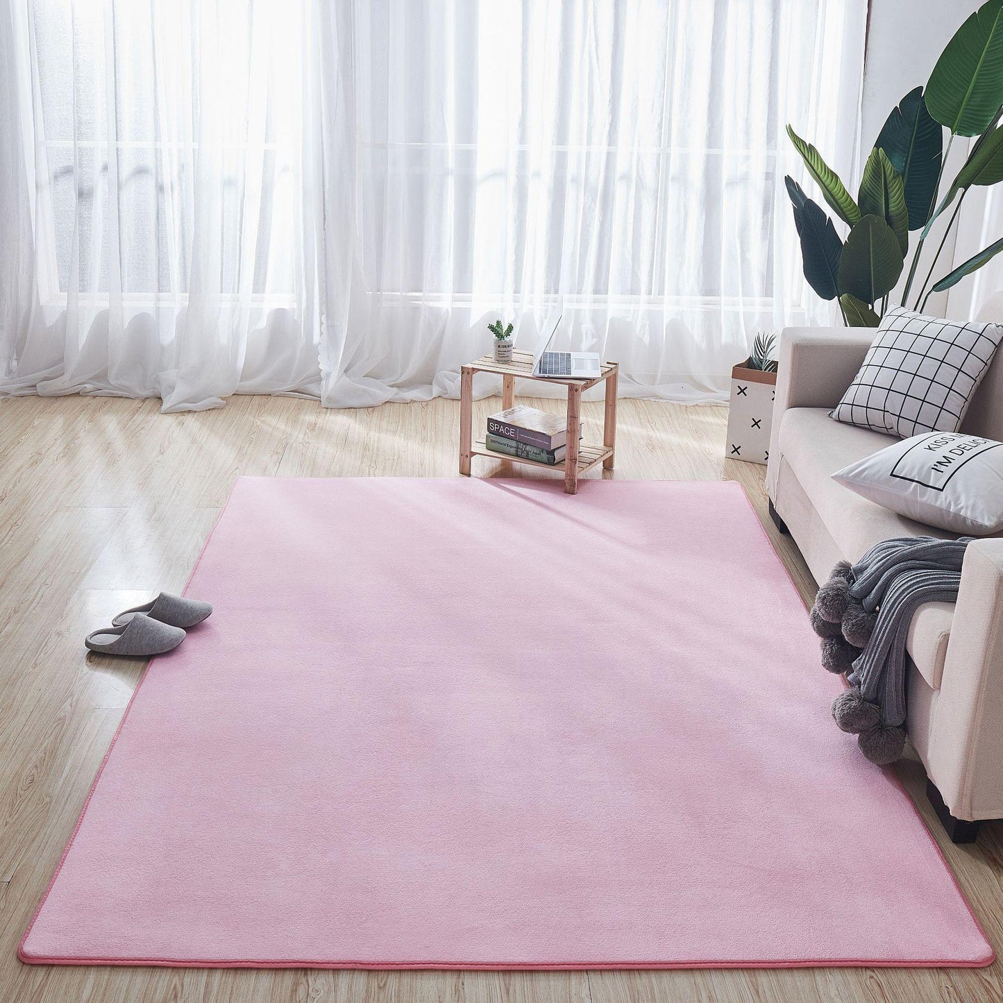 Coral Carpet In Living Room And Bedroom - Pacisia