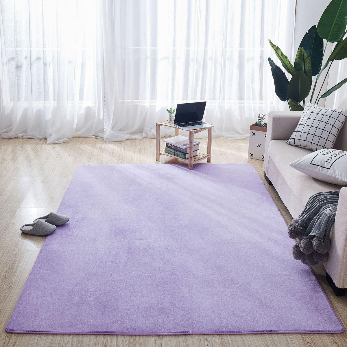 Coral Carpet In Living Room And Bedroom - Pacisia