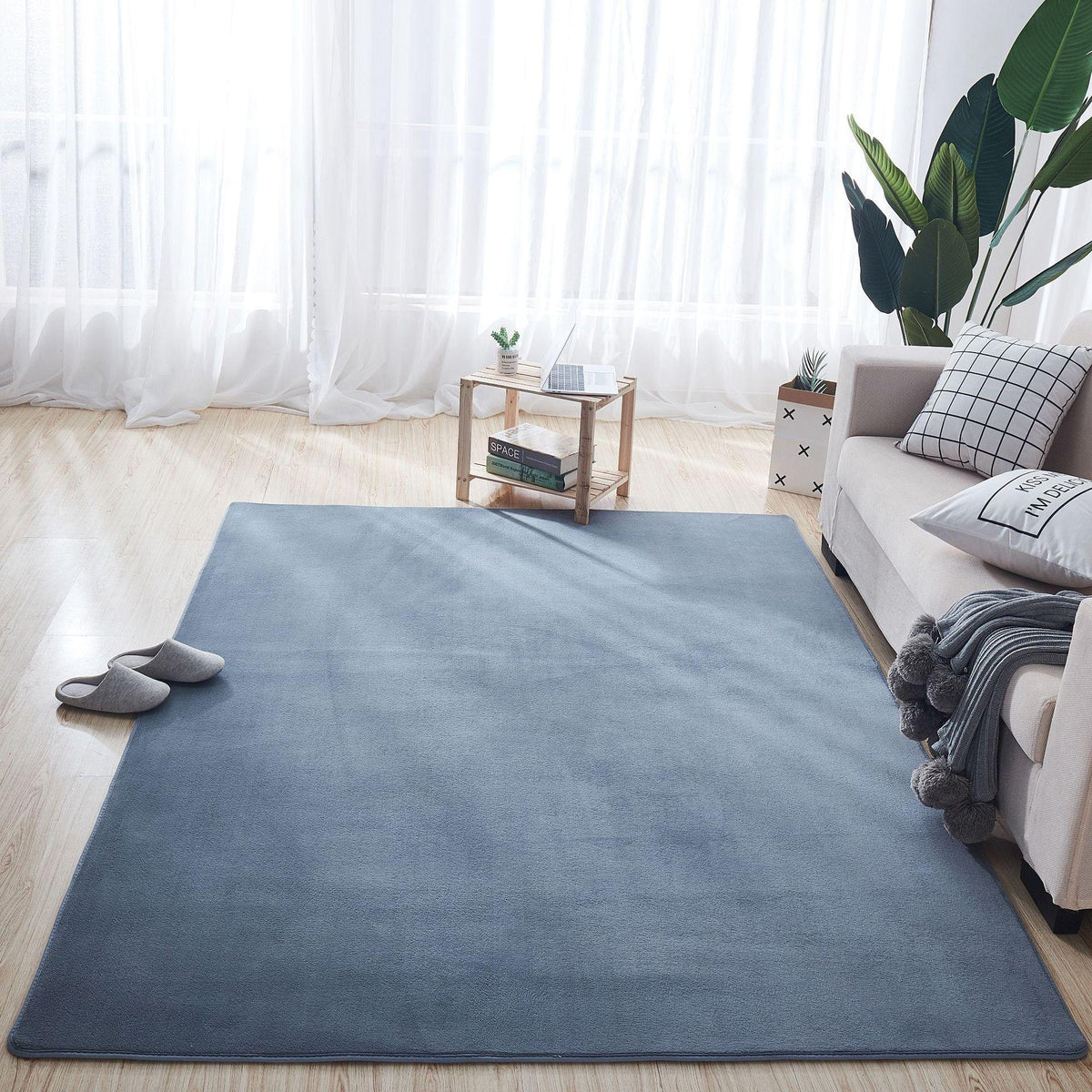 Coral Carpet In Living Room And Bedroom - Pacisia