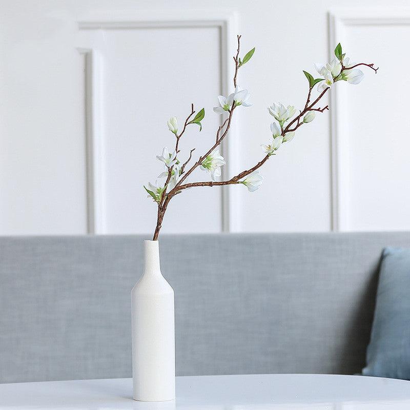 Creative Ceramic Vase Hydroponic Vase Decorative Ornaments - Pacisia