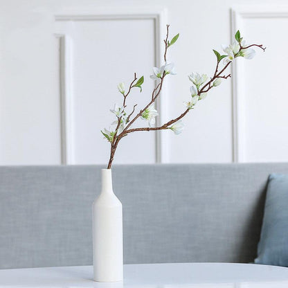 Creative Ceramic Vase Hydroponic Vase Decorative Ornaments - Pacisia