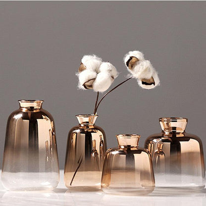 Creative Hydroponic Glass Vase Living Room Flower Arrangement - Pacisia