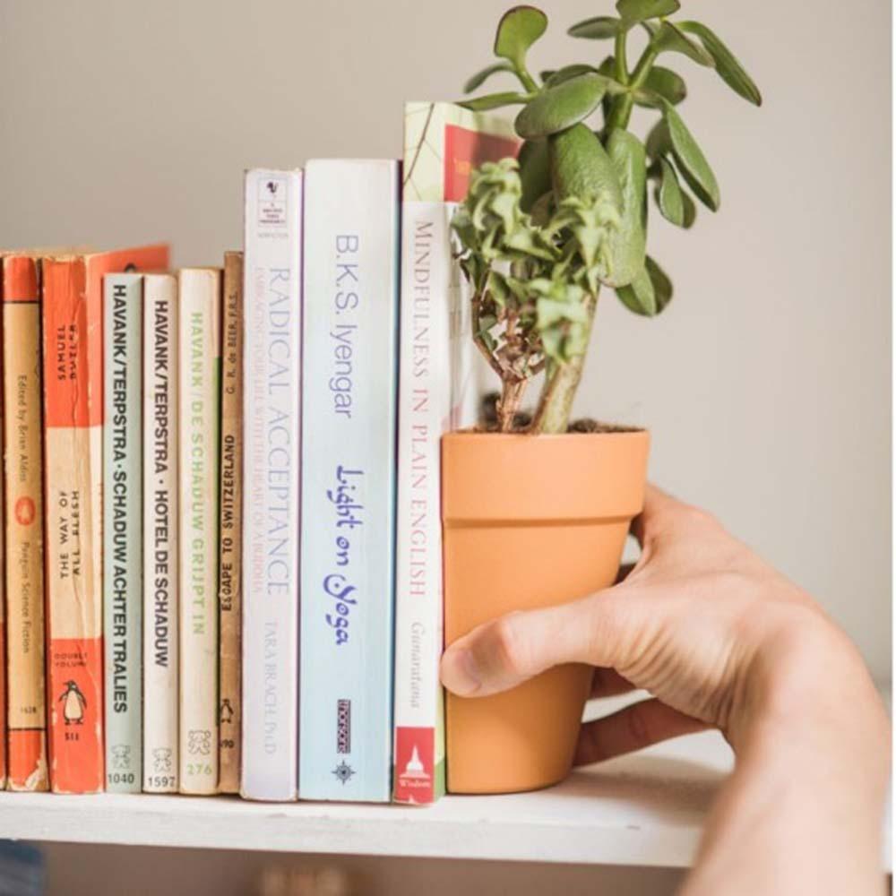 Creative Plastic Office Bookend Flower Pot - Pacisia
