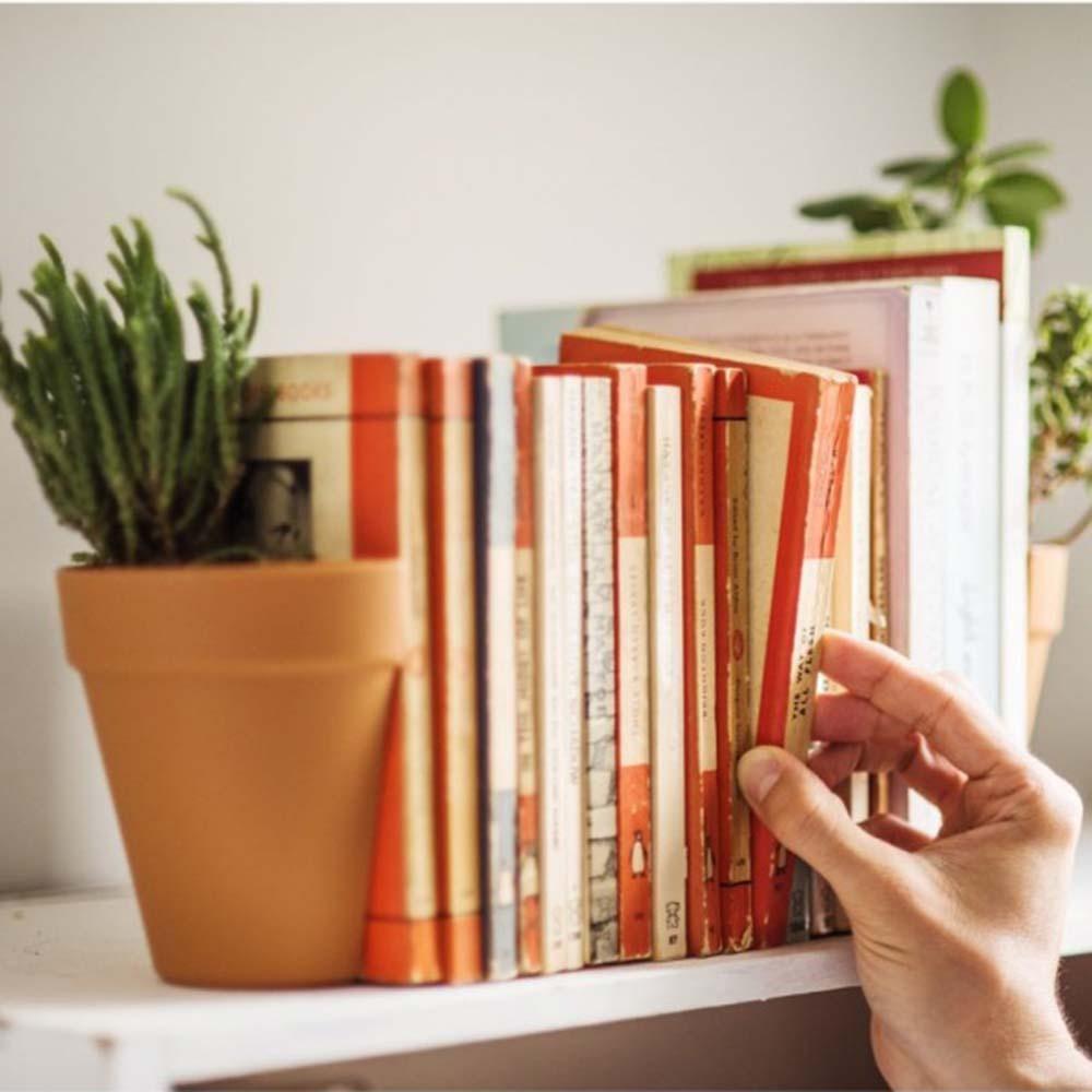 Creative Plastic Office Bookend Flower Pot - Pacisia