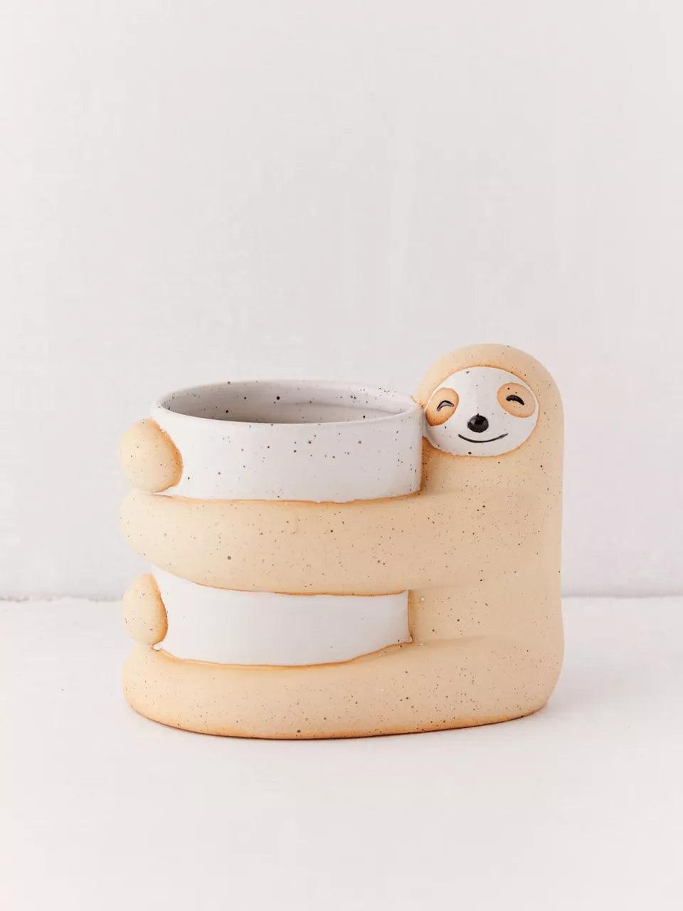 Cute, Creative And  Green Plant Potted Plants - Pacisia