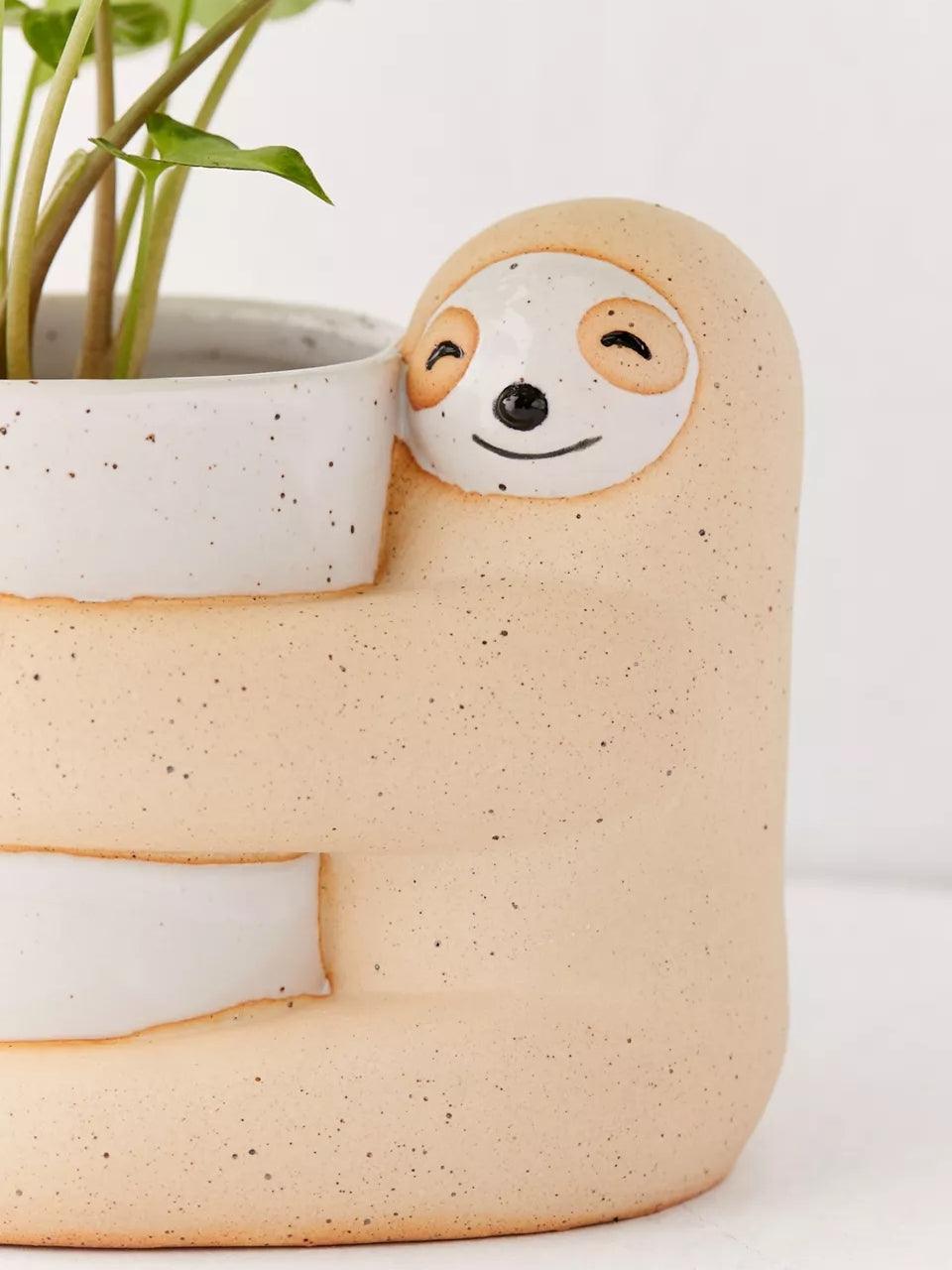 Cute, Creative And  Green Plant Potted Plants - Pacisia