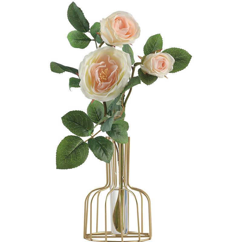 Decoration glass living room test tube vase - Pacisia