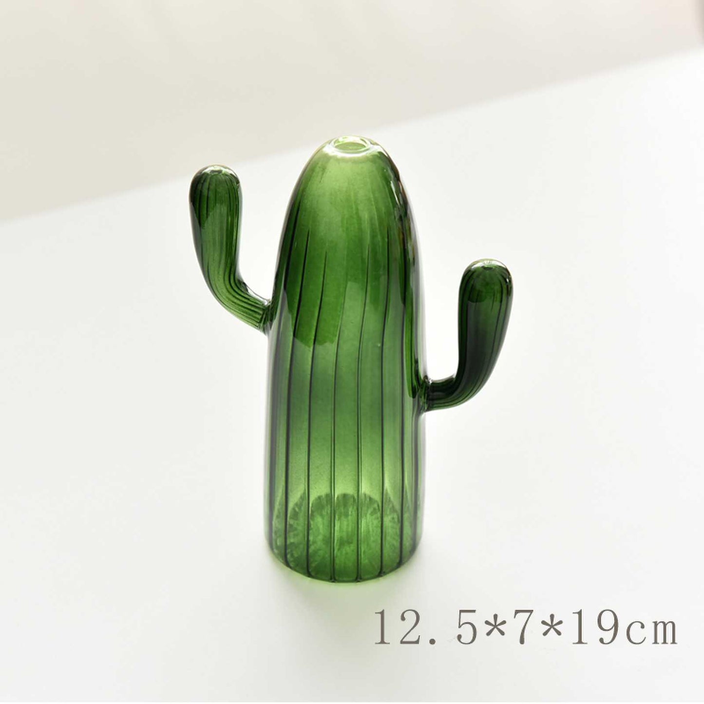Desktop Decoration Cactus Vase Personality - Pacisia