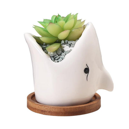 Succulent Pot Creative Cartoon Ceramic Flower Pots European-style Simple Indoor Desktop Pots For Plants Office Decor Planters - Pacisia