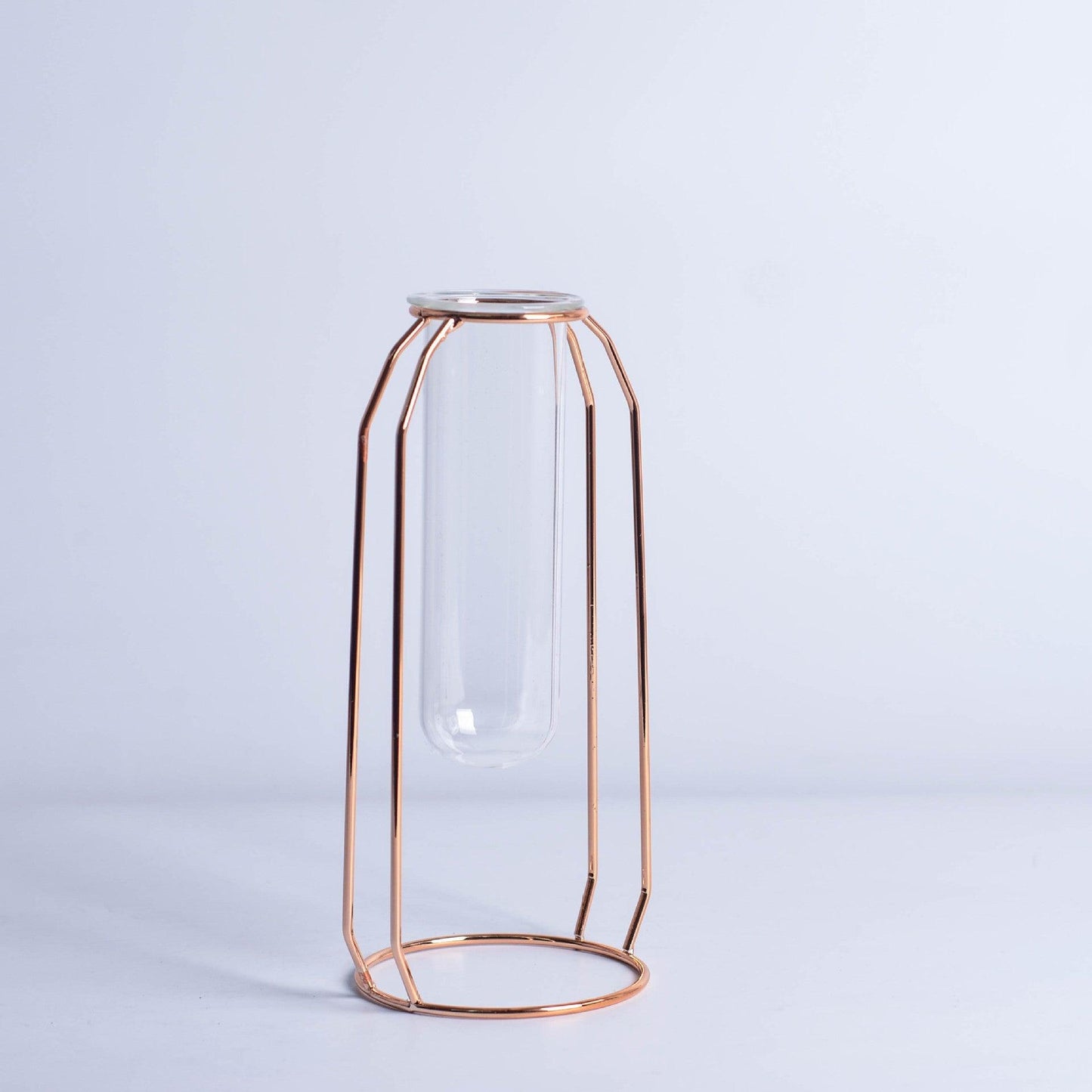 Glass Hydroponic Wire Metal Geometric Wrought Iron Vase - Pacisia
