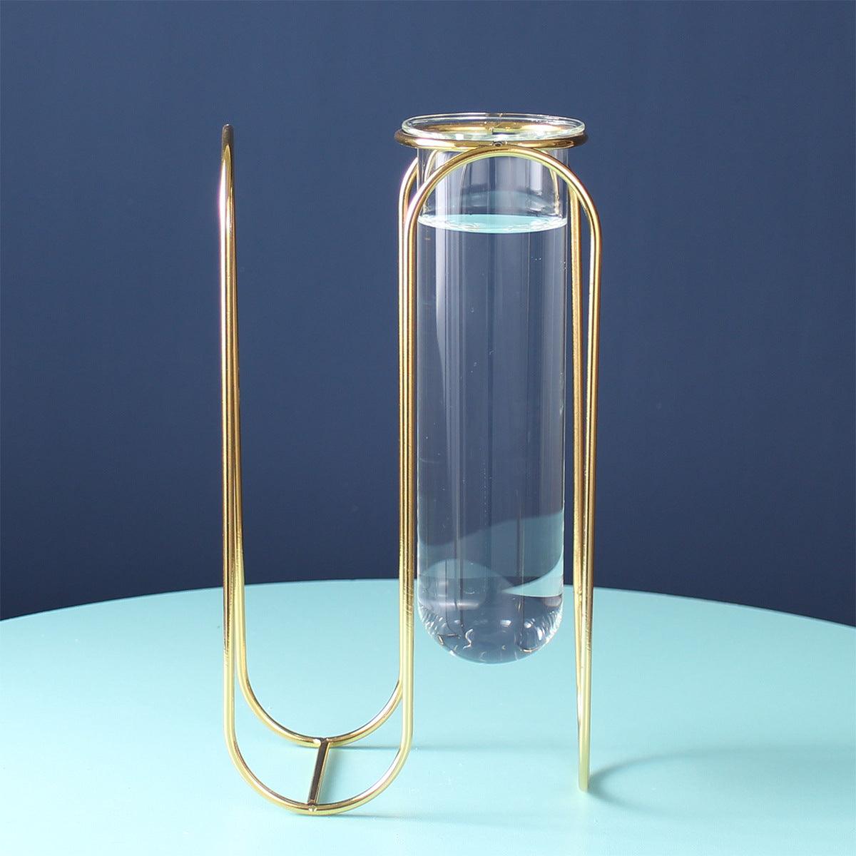 Hydroponic Glass Vase - Pacisia