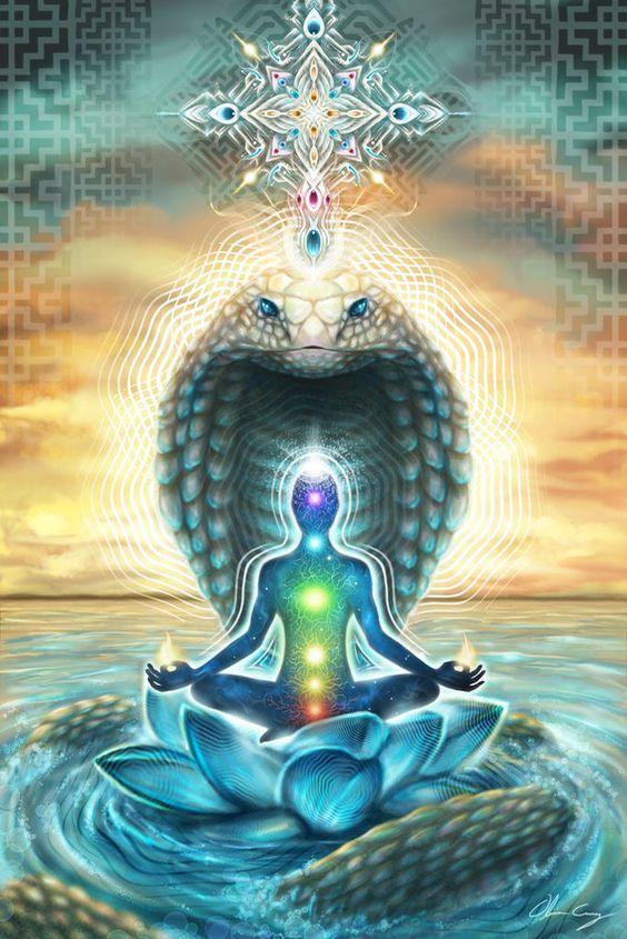 Lotus meditating tapestry - Pacisia