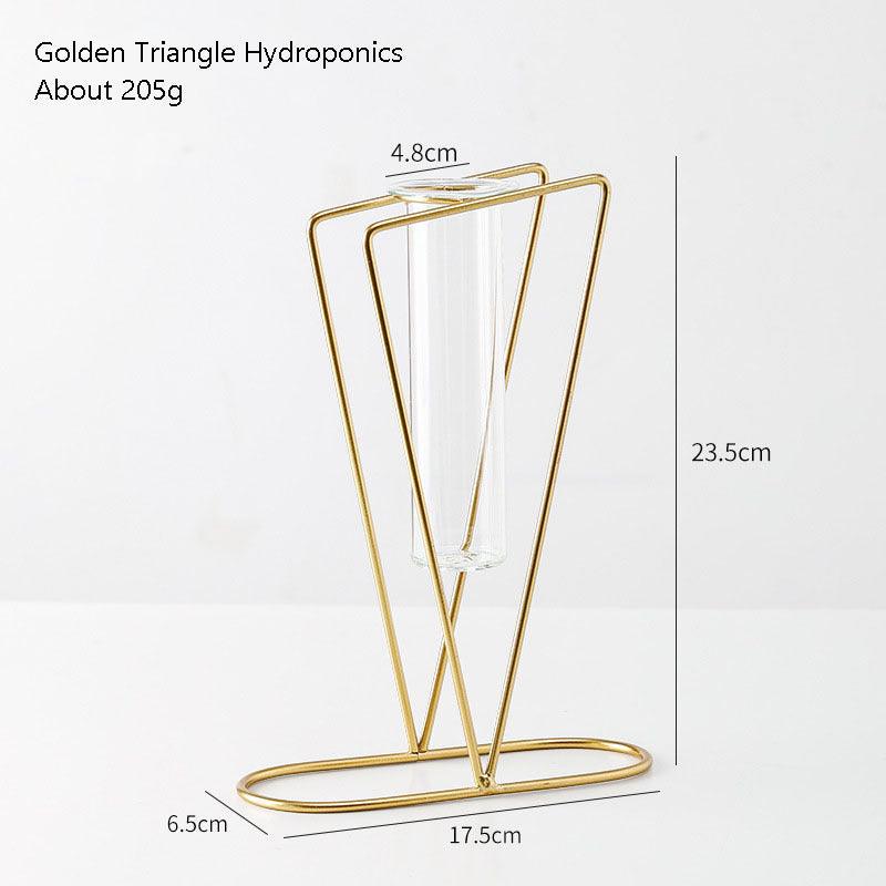 Nordic Style Simple Geometric Metal Wrought Iron Transparent Glass Hydroponic Vase - Pacisia