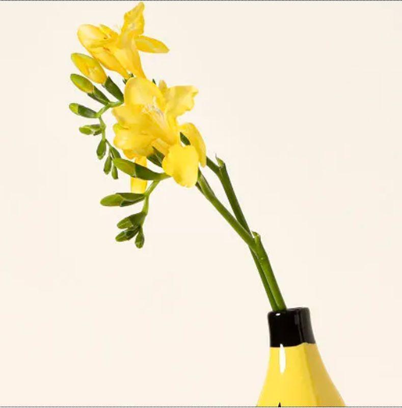 Simple Banana Vase Flower Arrangement Creativity Home Decor - Pacisia