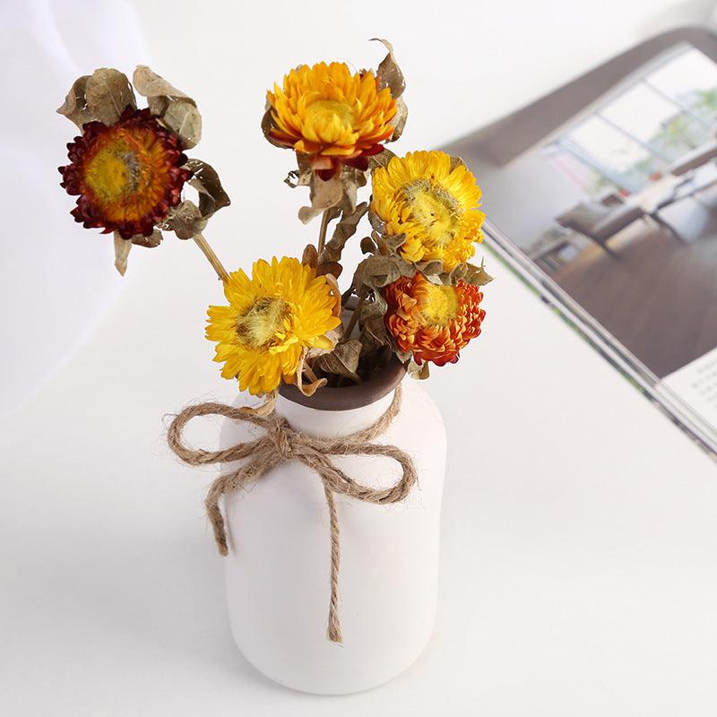 Simple European Ceramic Vase For Home Decoration - Pacisia