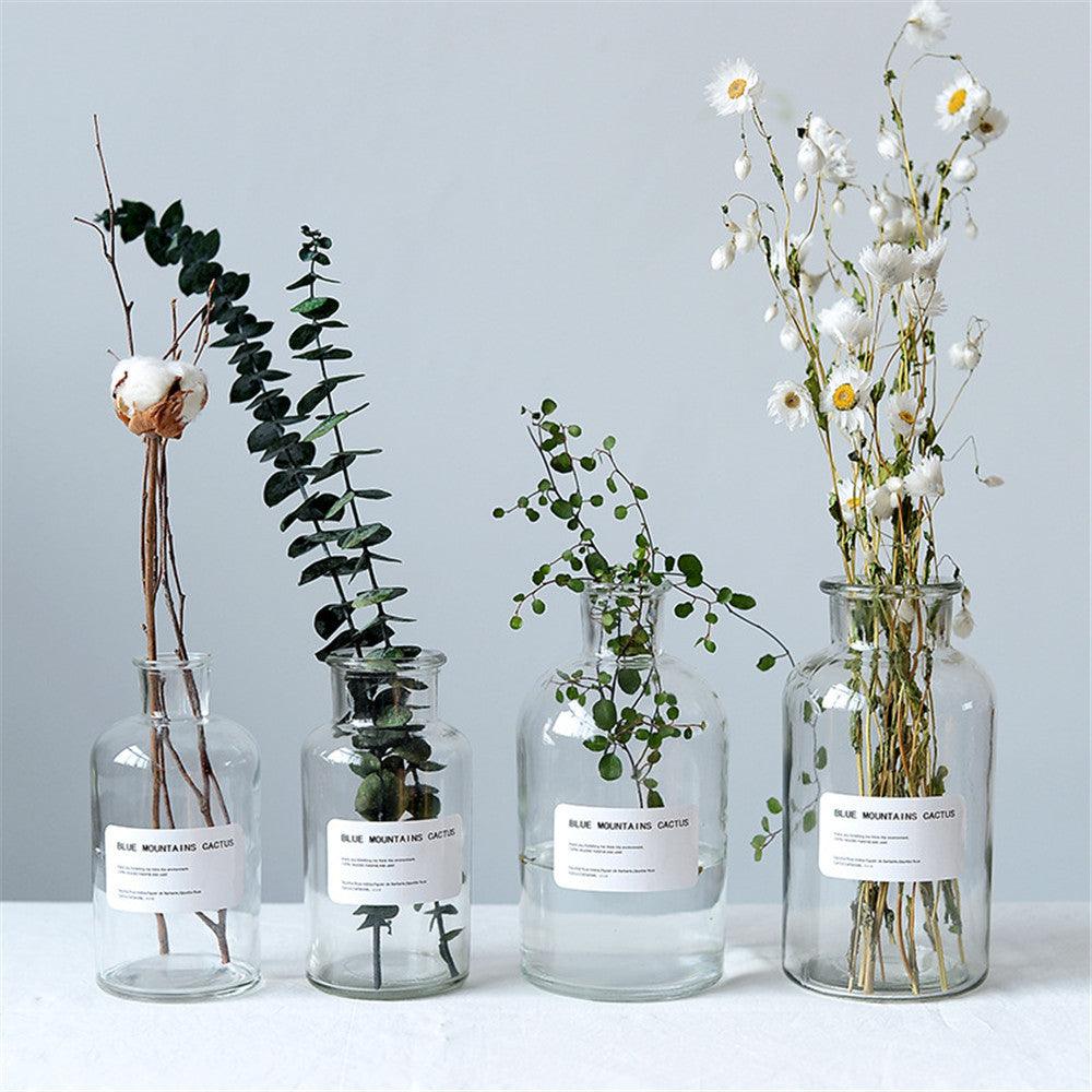 Small Brown Bottle Hydroponic Vase Clear Glass Small - Pacisia