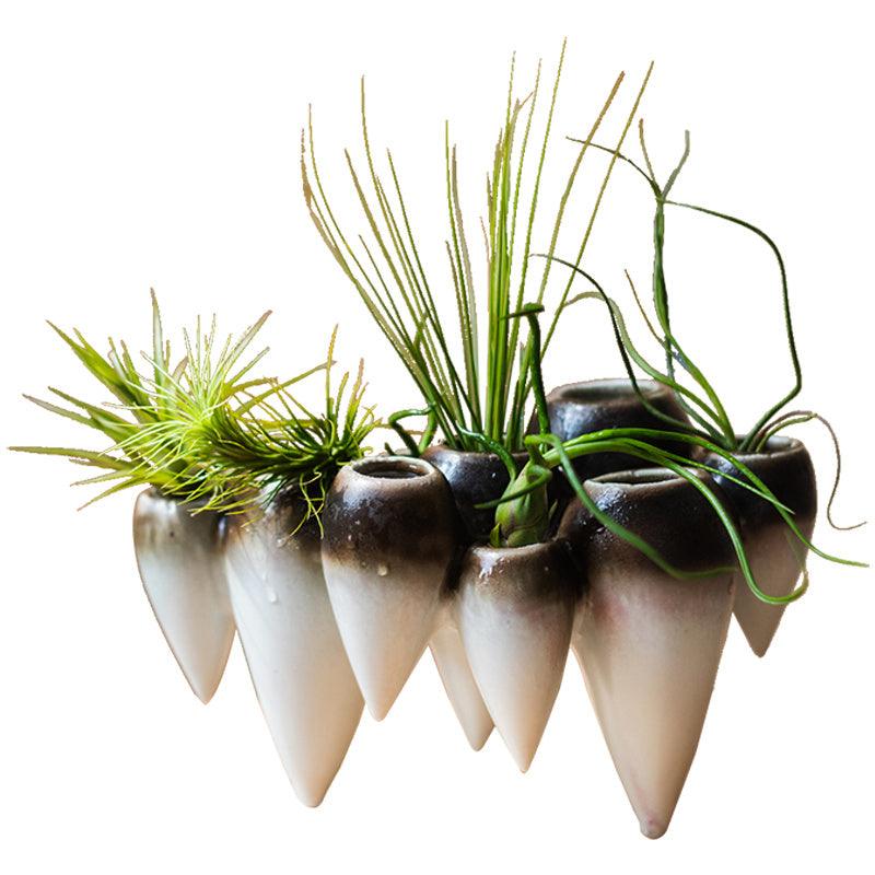 Suspended Ceramic Vase Hydroponic Decoration - Pacisia