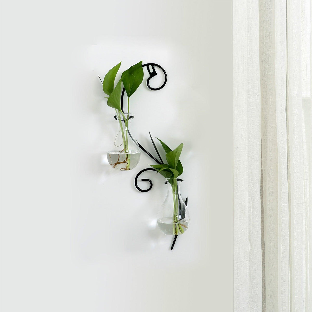 Transparent glass vase - Pacisia
