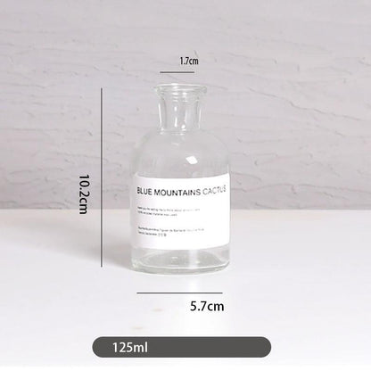 Vase home floral decoration ornaments hydroponic plant bottle - Pacisia