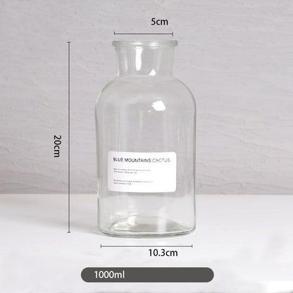 Vase home floral decoration ornaments hydroponic plant bottle - Pacisia